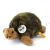 Schildkröte 20 cm