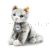 Katze 122316
