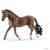Trakehner Wallach 
