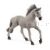 Sorraia Mustang Hengst