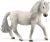 Islandpony Stute