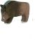 Wildschwein Keiler