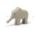 Elefant klein Rüssel gestreckt