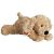 Labradoodle  c a30 cm