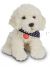 Labradoodle 28 cm