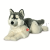 Hermann, Husky 60 cm