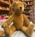 Sigikid Bär lim. ca 45cm