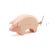 Schwein 10903