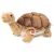 Hermann, Riesenschildkröte 50 cm