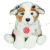 Hermann, Austarlian Shepherd Welpe 22 cm