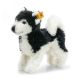 Wildlife Giftbox Husky 11 cm