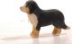 Bener Sennenhund 10521