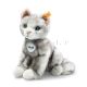 Katze 122316