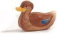 Ente schwimmend