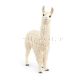Lama 13920