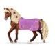 HC Paso Fino Hengst