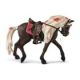 HC Rocky Mountains Horse Stute