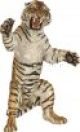 Tiger stehend