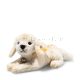 Labrador blond 23 cm