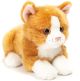 Katze liegend rot