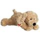 Labradoodle  c a30 cm