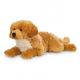 Golden Retriever 60 cm