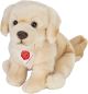 Golden Retriever sitz 25 cm