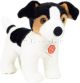 Jack Russel Welpe 28 cm