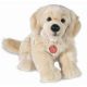 Golden Retriever 30 cm