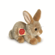 Hermann, Hase sitzend