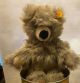 Steiff Bär 651175 ca 30 cm