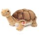 Hermann, Riesenschildkröte 50 cm