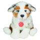 Hermann, Austarlian Shepherd Welpe 22 cm