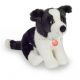 Hermann, Border Collie 25 cm