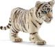 Tigerjunge weiß
