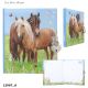 Tagebuch mit Sticker 12967