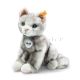Katze 122316