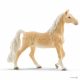Amarican Saddlebred Stute