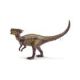 Dracorex