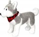 Husky Kiju