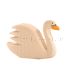 Schwan 1592