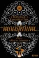 Clare, Magisterium-Der Weg ins Labyrinth    Bd1