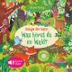 Klänge der Natur-Was hörst du im Wald? m.Sound
