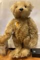 Steiff Bär 404207 limitiert