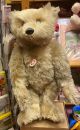 Steiff Bär 1926