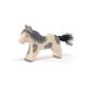 Sheland Pony laufend