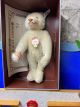 Steiff Teddy 407550