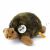Schildkröte 20 cm