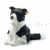 Jaycee Border Collie 28 cm