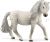 Islandpony Stute